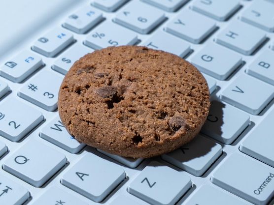 Co to są pliki cookies i jak wpływają na działanie stron internetowych?